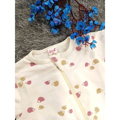 Sleepsuit/Cap- NB(Animal)