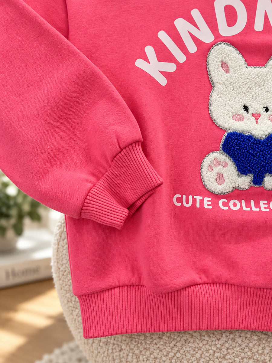 Baby Girls Knitted Cotton Bunny Sweatshirt – Pink | Cute 3D Bunny Appliqué Detail | 3 months to 3 years |Ziva Collected | Carefully Selected for Your Little One