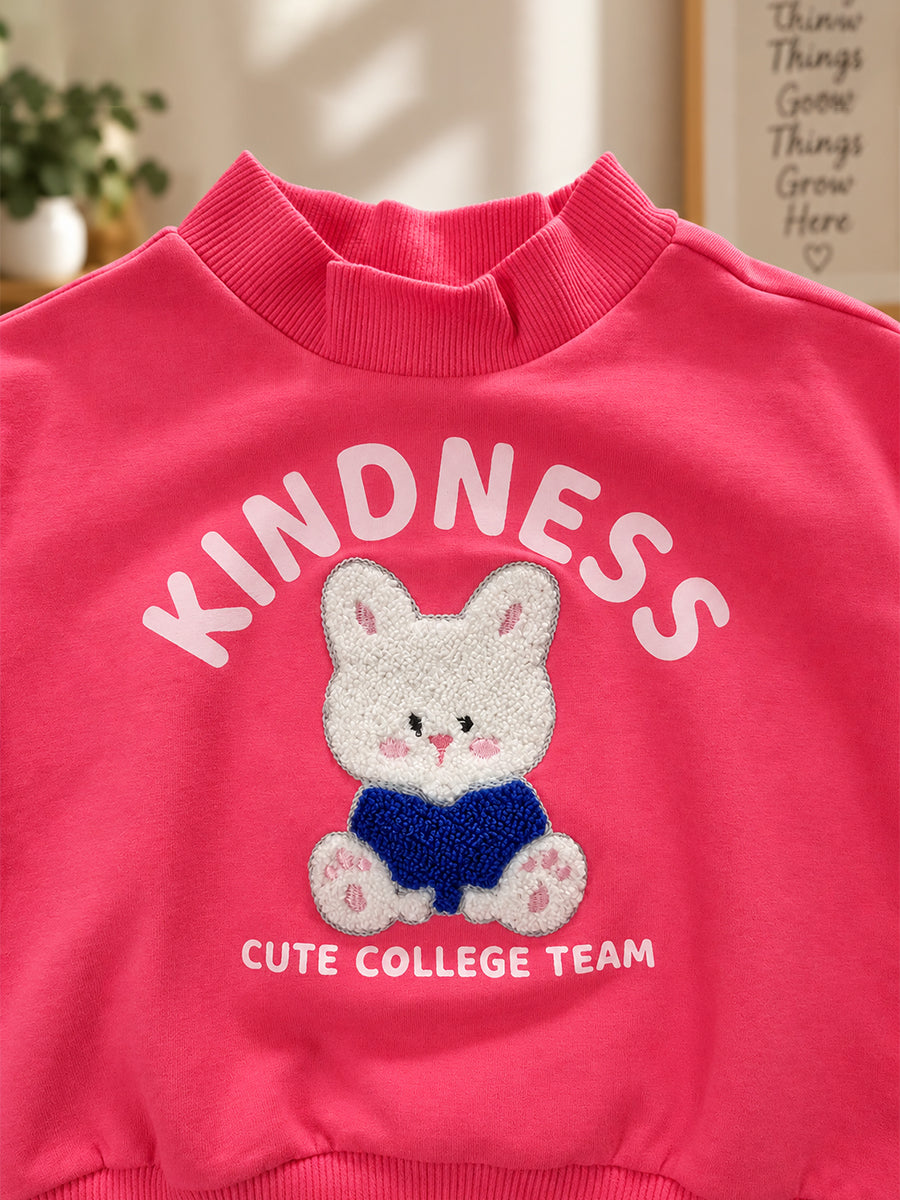 Baby Girls Knitted Cotton Bunny Sweatshirt – Pink | Cute 3D Bunny Appliqué Detail | 3 months to 3 years |Ziva Collected | Carefully Selected for Your Little One