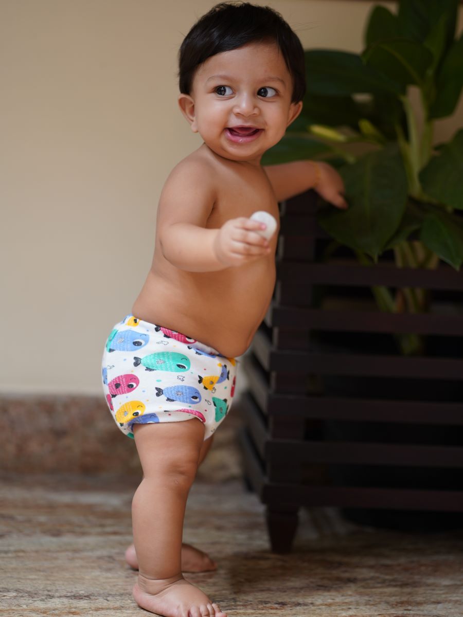 Baby Training Shorts